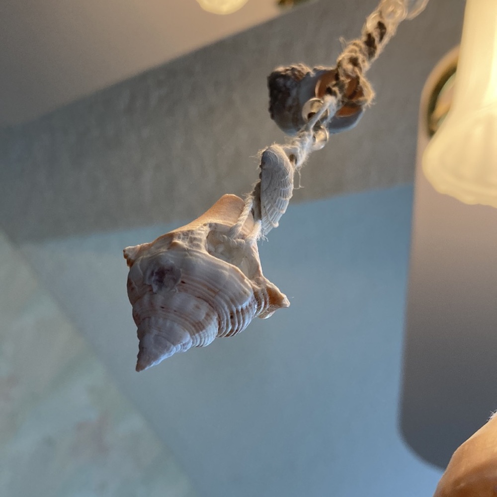Ceiling fan pulls - Picture 3 of 3